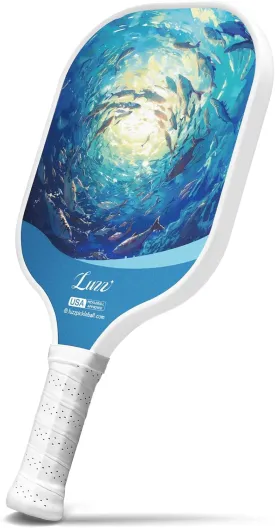 LUZZ Pickleball Paddles, T700 Carbon Fiber Pickleball Paddle Sandblasted Surface with Honeycomb Core Pickle Ball Rackets for Ultimate Spin & Control