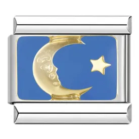 Moon and Star Charm